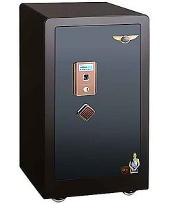 KÉT SẮT LOUIS AD100 US38