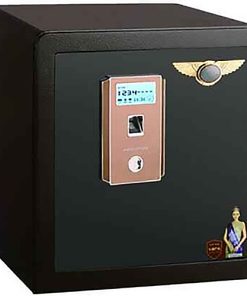 KÉT SẮT LOUIS AD45 US38