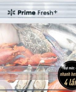 Tủ Lạnh Panasonic Inverter 420 Lít NR-BX471XGKV - 30 Tủ Lạnh Panasonic Inverter 420 Lít NR-BX471XGKV - 29