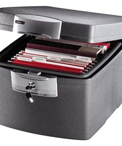 KÉT SẮT SENTRY H3300