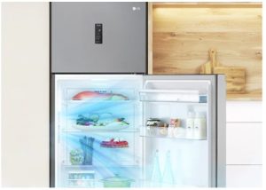 Tủ lạnh LG Inverter 374 lít GN-D372PS - 23