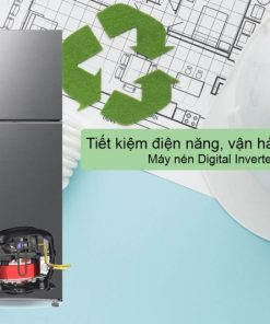 Tủ Lạnh Samsung Inverter 305 Lít RT31CG5424S9SV - 22 Tủ Lạnh Samsung Inverter 305 Lít RT31CG5424S9SV - 21