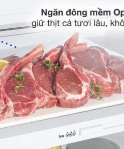 Tủ lạnh Samsung Inverter 406 lít RT42CG6584S9SV - 35