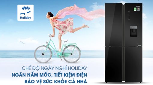 Tủ lạnh Aqua Inverter 456 lít AQR-IGW525EM (GB) - 11