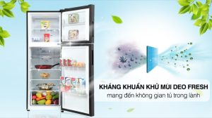 Tủ lạnh Aqua Inverter 245 lít AQR-T259FA(FB) - 19