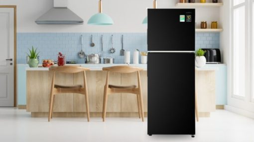 Tủ lạnh Aqua Inverter 245 lít AQR-T259FA(FB) - 13