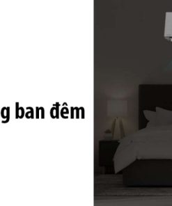 Máy lạnh Toshiba Inverter 2 HP RAS-H18C2KCVG-V - 31