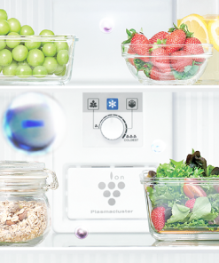 Tủ lạnh Sharp Inverter 330 lít SJ-XP352AE-DS - 37