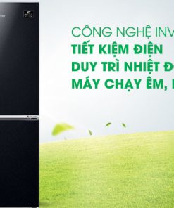 Tủ lạnh Samsung Inverter 280 lít RB27N4010BU/SV - 42 Tủ lạnh Samsung Inverter 280 lít RB27N4010BU/SV - 41