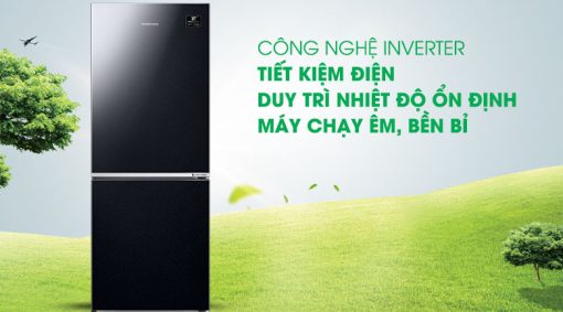 Tủ lạnh Samsung Inverter 280 lít RB27N4010BU/SV - 19