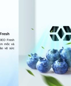 Tủ lạnh Aqua Inverter 333 lít AQR-T352FA(FB) - 31