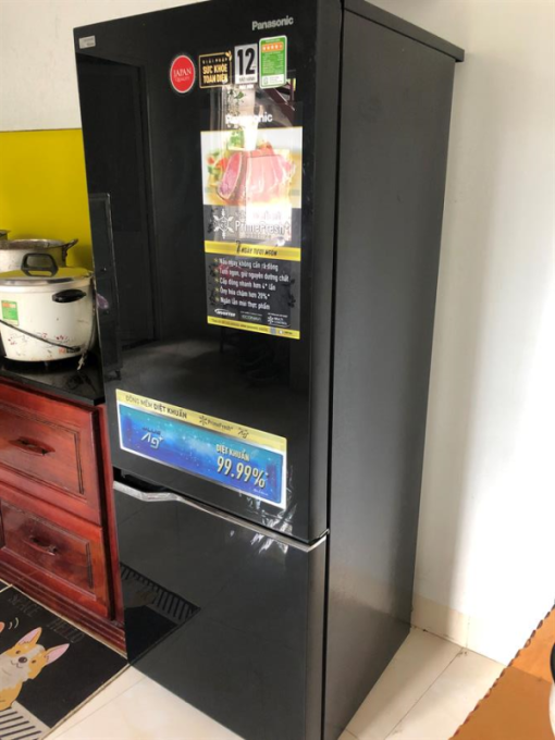 Tủ lạnh Panasonic Inverter 290 lít NR-BV320GKVN - 21