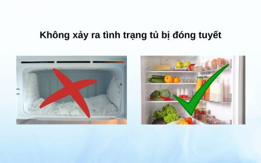 Tủ lạnh Aqua Inverter 333 lít AQR-T352FA(FB) - 11