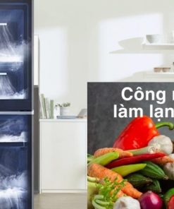 Tủ lạnh Samsung Inverter 382 lít RT38CB6784C3SV - 28 Tủ lạnh Samsung Inverter 382 lít RT38CB6784C3SV - 27