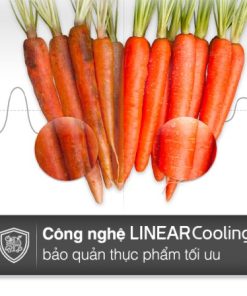 Tủ lạnh LG Inverter 519 lít GR-B256BL - 23
