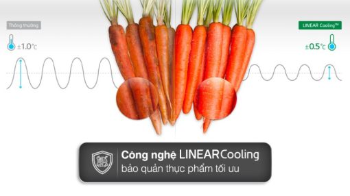 Tủ lạnh LG Inverter 519 lít GR-B256BL - 7