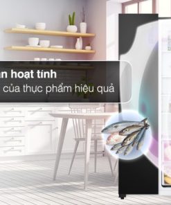 Tủ lạnh LG Inverter 519 lít GR-B256BL - 21