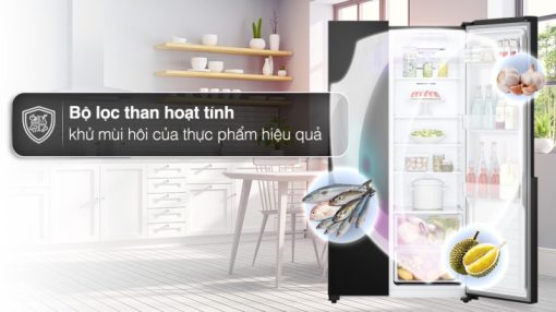 Tủ lạnh LG Inverter 519 lít GR-B256BL - 5