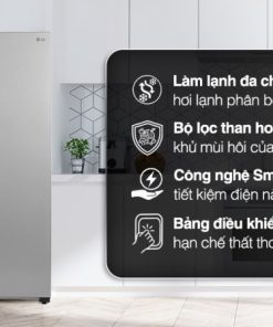 Tủ lạnh LG Inverter 519 lít Side By Side GR-B256JDS - 21