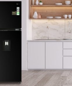 Tủ lạnh LG Inverter 314 Lít GN-D312BL - 34 Tủ lạnh LG Inverter 314 Lít GN-D312BL - 33