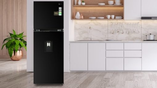 Tủ lạnh LG Inverter 314 Lít GN-D312BL - 17