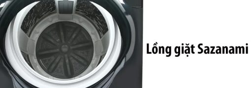 Máy Giặt Panasonic 9 Kg NA-F90S10BRV - 19