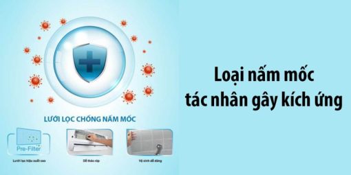 Máy lạnh Toshiba Inverter 1 HP RAS-H10E2KCVG-V - 17