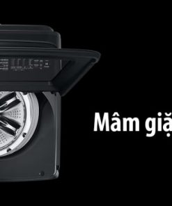 Máy Giặt Samsung Inverter 23 kg WA23A8377GV/SV - 41