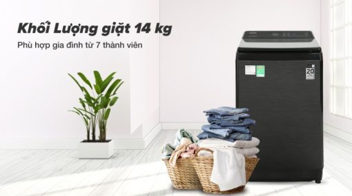 Máy Giặt Samsung Inverter 14 kg WA14CG5745BVSV - 19