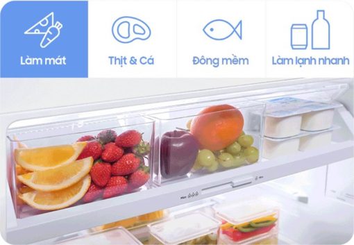 Tủ Lạnh Samsung Inverter 305 Lít RT31CG5424S9SV - 15