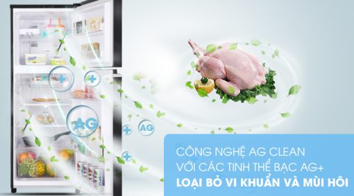 Tủ lạnh Panasonic Inverter 188 lít NR-BA229PKVN - 19