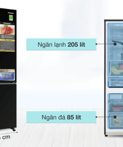 Tủ lạnh Panasonic Inverter 290 lít NR-BV320GKVN - 33