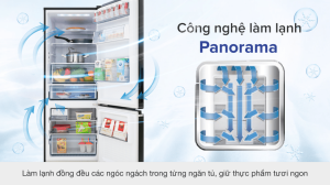 Tủ lạnh Panasonic Inverter 290 lít NR-BV320GKVN - 39