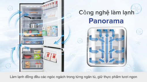 Tủ lạnh Panasonic Inverter 290 lít NR-BV320GKVN - 15