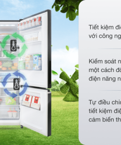 Tủ lạnh Panasonic Inverter 290 lít NR-BV320GKVN - 31