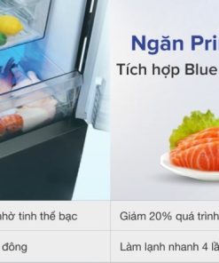 Tủ lạnh Panasonic Inverter 290 lít NR-BV320GKVN - 41