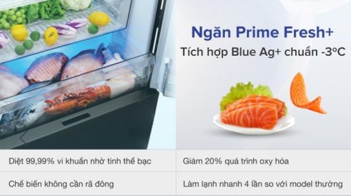 Tủ lạnh Panasonic Inverter 290 lít NR-BV320GKVN - 17