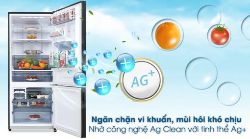 Tủ lạnh Panasonic Inverter 377 lít NR-BX421GPKV - 11