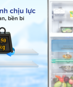 Tủ lạnh Panasonic Inverter 234 lít NR-TV261BPKV - 25