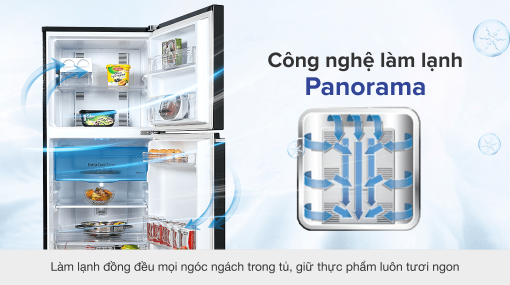 Tủ lạnh Panasonic Inverter 234 lít NR-TV261BPKV - 17
