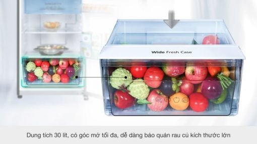 Tủ lạnh Panasonic Inverter 268 lít NR-TV301VGMV - 11