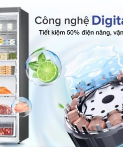 Tủ Lạnh Samsung Inverter 323 Lít RZ32T744535/SV - 36 Tủ Lạnh Samsung Inverter 323 Lít RZ32T744535/SV - 35