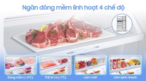 Tủ lạnh Samsung Inverter 406 lít RT42CB6784C3SV - 15