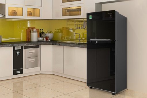 Tủ lạnh Samsung Inverter 208 lít RT20HAR8DBU - 9
