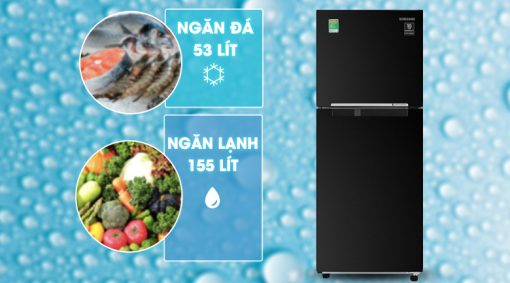 Tủ lạnh Samsung Inverter 208 lít RT20HAR8DBU - 11