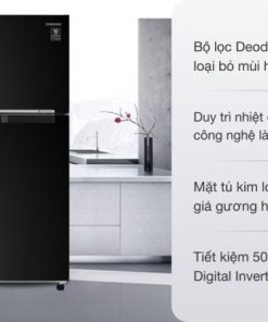 Tủ lạnh Samsung Inverter 208 lít RT20HAR8DBU - 25