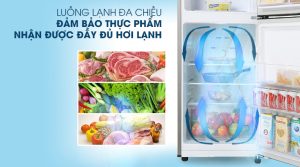 Tủ lạnh Samsung Inverter 208 lít RT20HAR8DBU - 37