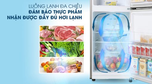 Tủ lạnh Samsung Inverter 208 lít RT20HAR8DBU - 17