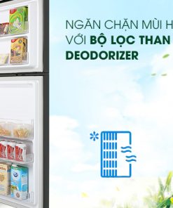 Tủ lạnh Samsung Inverter 208 lít RT20HAR8DBU - 41