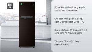 Tủ lạnh Samsung Inverter 236 lít RT22M4032BY/SV - 25